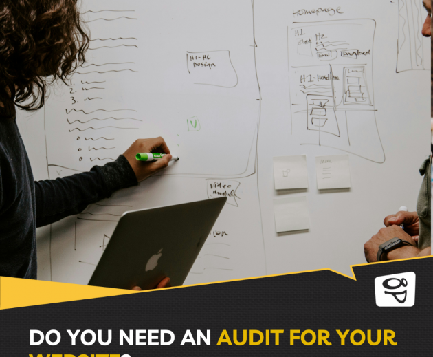 two website audit professionals Photo by Kaleidico on Unsplash